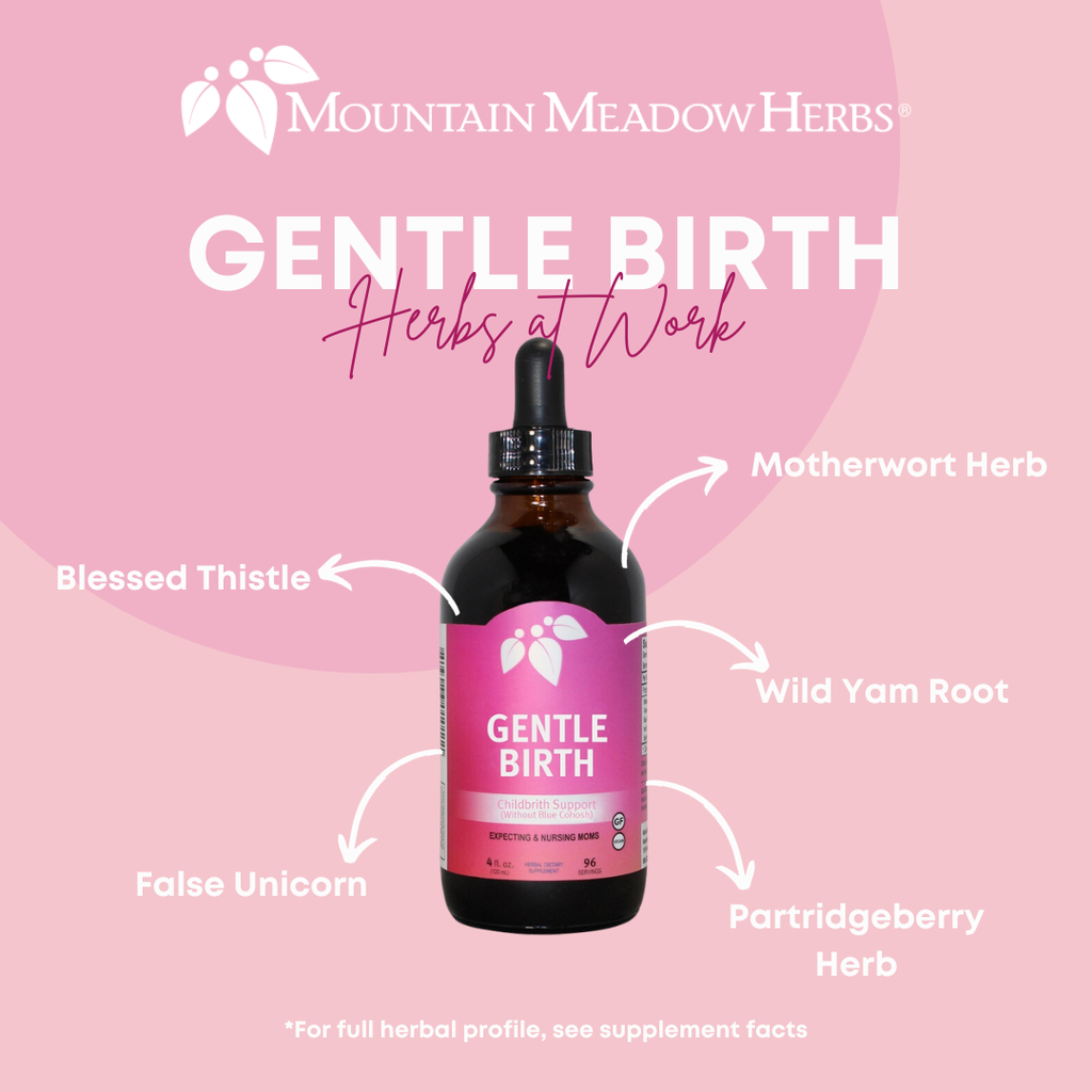 Birth Prep Gentle Birth w o Blue Cohosh Mountain Meadow Herbs